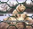 ISO9001:2008 20mm PVC Hexagonal Wire Mesh Factory Price thumbnail-1