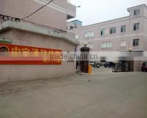 Shenzhen Topsung Lighting Co., Limited company overview - view 1 thumbnail
