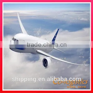Hammock Air Shipping From Shenzhen to Panama Tocuman,panama City -----Apple(skype:colsales32) thumbnail-1