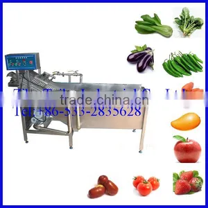 Leafy Vegetable Ozone Washer Machine thumbnail-1