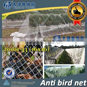 (20 Years Shanghai Factory) Hot Selling , New Arrival, Floriculture HDPE Vineyard Net on Semillon Vine , 33 GSM / 20101-33 thumbnail-1