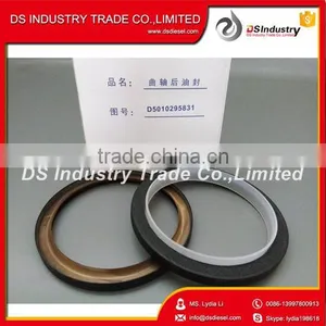 DCi11 D5010295831 Oil Seal thumbnail-4