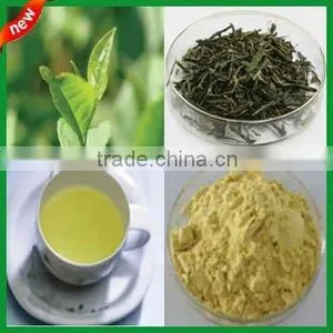 Instant Green Tea Powder for Health Food Additive thumbnail-1