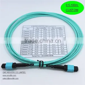 12 Core MTP Female-MTP Female OM3 Fiber Optic Patch Cord thumbnail-1
