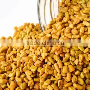 High Grade Fenugreek Seed thumbnail-1