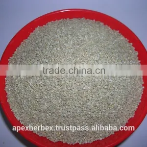 Quinoa Grain / Chenopodium Quinoa / Quinoa Grain /Quinoa Bulk Grain thumbnail-3