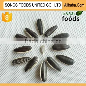 Seeds Market Price Sunflower Seeds 5009 thumbnail-1