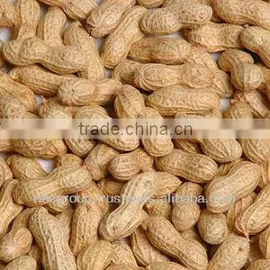 Groundnut (Shell) thumbnail-1