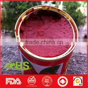 Wholesale Canned Tomato Paste/tomato Ketchup thumbnail-2