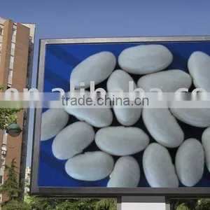 White Kidney Beans(Baishake) thumbnail-1