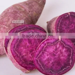 Fresh Sweet Purple Potato/red Skin Potato thumbnail-1