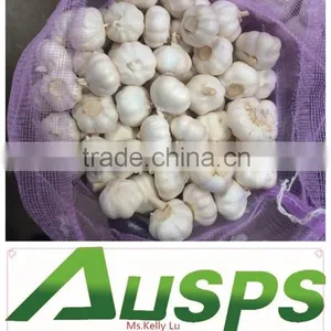China Natural 5cm Garlic thumbnail-5