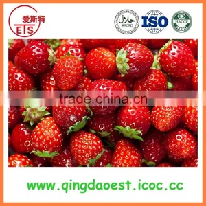 New Crop Best Quality Fresh Whole Strawberry thumbnail-3