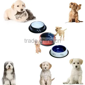 Stainless Steel Dog Bowl * Rust Proof With Non-Skid Durable Natural Rubber Base That Won't Slip * 32oz (Dry Weight) Pet Feeding thumbnail-1