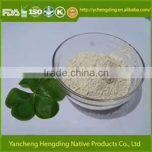 Quality Products Bulk Garlic Powder Buy Wholesale From China thumbnail-1