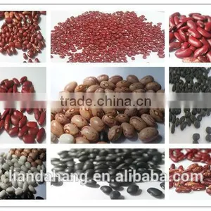 ADZUKI BEAN thumbnail-3