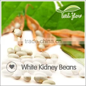 Foul Medames White Kidney Beans For Canning thumbnail-4