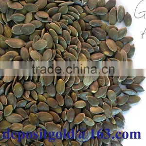 Grown Without Shell Pumpkin Seeds Grade AA thumbnail-1