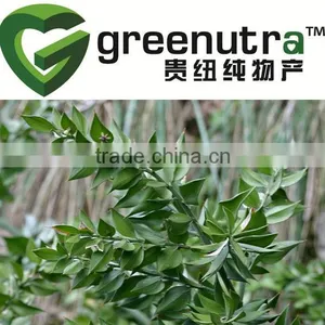 Ruscus Aculeatus Extract thumbnail-1
