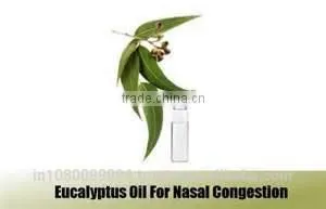 Eucalyptus Oil thumbnail-1