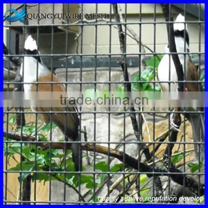 Heavy Gauge Bird Cage Wire Mesh Galvanized Welded Wire Mesh Panel 2x2 thumbnail-3