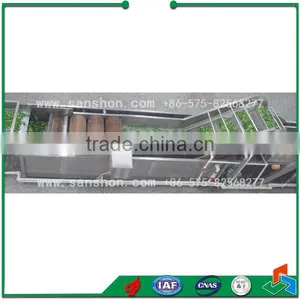 Vegetable Bubble Washing Leafy Vegetable Washing Machine thumbnail-6