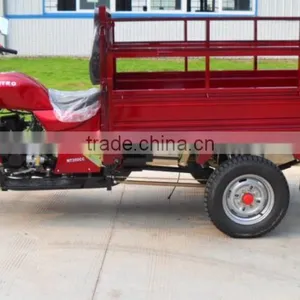 Chinese Manufacturer Best Price 250cc Cheap 3 Wheel Motorcycle thumbnail-2