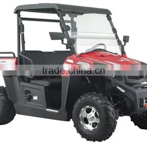 250cc 12KW EFI Engine UTV Utility Vehicle (TKU250E-2B) thumbnail-1