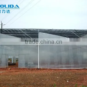 Commercial Plastic Hoop Vegetable Greenhouse thumbnail-1
