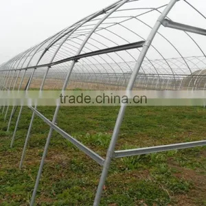Tunnel Greenhouse thumbnail-2