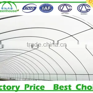 Agriculture Farming/ Greenhouse thumbnail-1