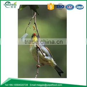 Dried Mealworms for Wild Bird thumbnail-1