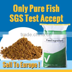 Supply Pure Fish Meal 60% 65% Protein Good Quality thumbnail-1