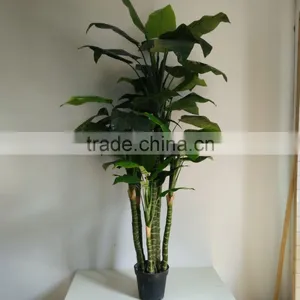 Fake Radermachera Artificial Decorativa Plant Tall Plant thumbnail-1