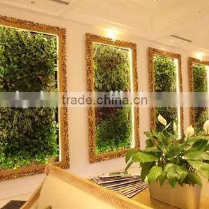 2016 Hot Sale Chinese Goods Wholesale Artificial Grass Wall thumbnail-1