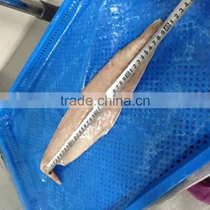 Fast Delivery Sea Frozen Mahi Mahi Fillet With Whole Round thumbnail-3