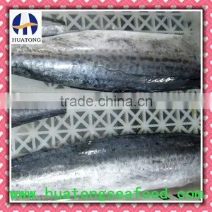 Frozen Spanish Mackerel Fillets-sink on thumbnail-1