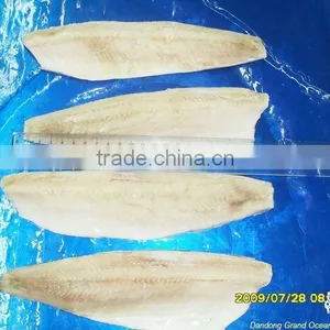 Frozen Atlantic Herring Fillet IQF thumbnail-1