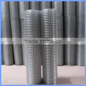 Galvanized Welded Wire Mesh/pvc Coated Welded Wire Mesh thumbnail-2