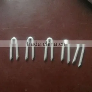 Galvanised U Nails thumbnail-1