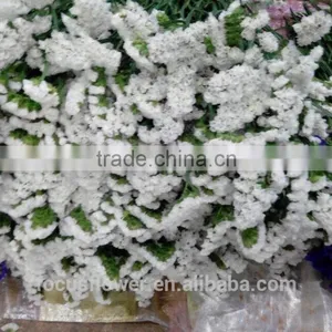 Real Touch Flowers Wholesale Cut Flowers Statice Wedding Flowers thumbnail-5