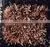 Leather Rugs thumbnail-1