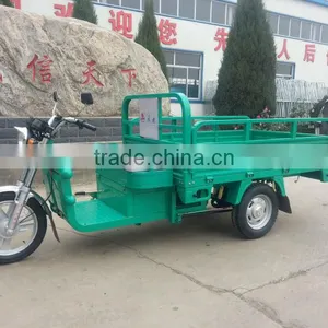China 1200w Motor High Speed Electric Cargo Tricycle thumbnail-1