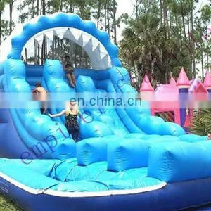 Cheap Commercial Best Quality Water Slide With Pool WS009 thumbnail-1