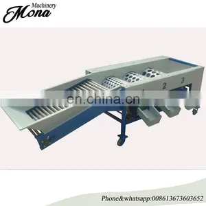 Orange,Apple,Lemon,Kiwi,Mango Sorting Machine Fruit Grading Machine thumbnail-1