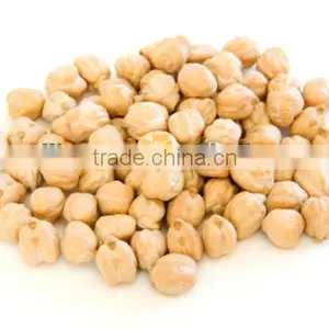 Xinjiang Chickpeas thumbnail-1