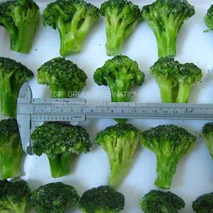 IQF Frozen Broccoli Flower 4-6cm thumbnail-3