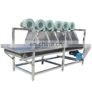 Date Washing Drying Pitting Production Line Fruit Vegetable Food Syrup Washing Processing Machine thumbnail-4