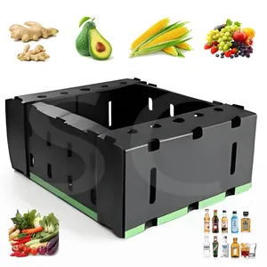 Corflute Vegetable Box thumbnail-2