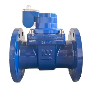 IoT Horizontal Spiral Wing Water Meter thumbnail-1